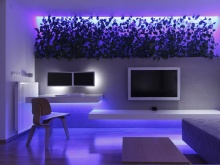 Растения в современном дизайне интерьера квартиры